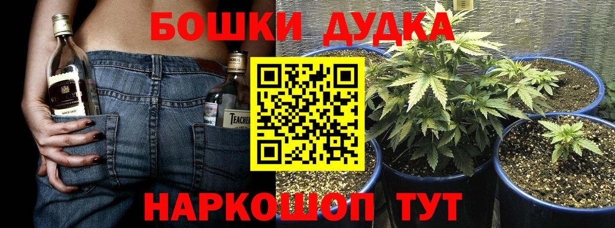 Шишки марихуана AK-47 Карабулак